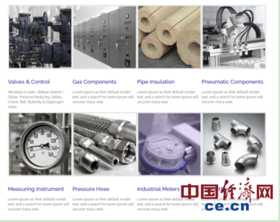 巴基斯坦閥門制造業的生存困境 國際物流成本飆升十倍，原材料價格劇烈波動